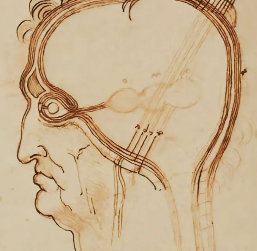 VAC — Valutazione dell'Autonomia Cognitiva
